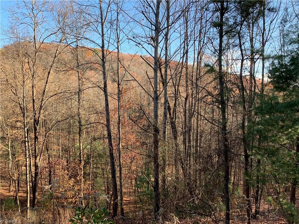 TBD (Lot 4) Wolf Den Lane, Lenoir NC 28645
