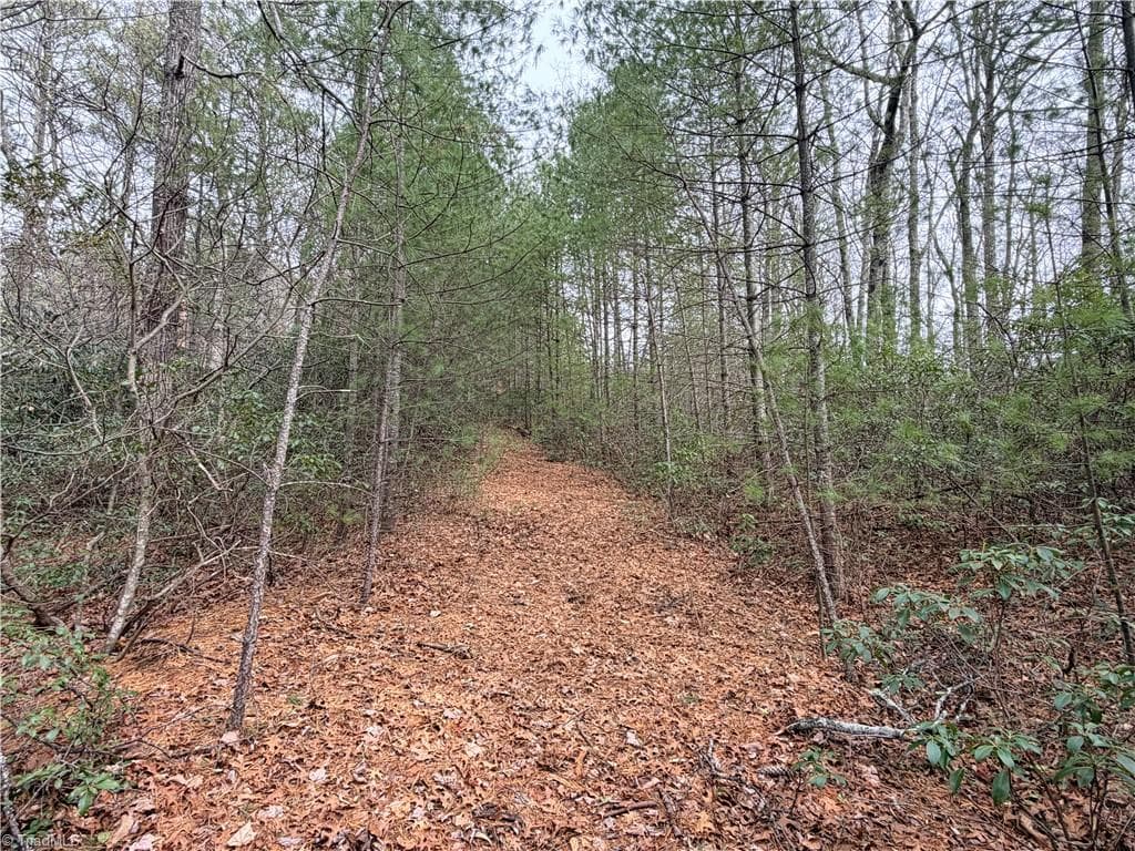 Single Family Residence at TBD (Lot 4) Wolf Den Lane, Lenoir NC 28645, Lenoir, photo 4 of 13