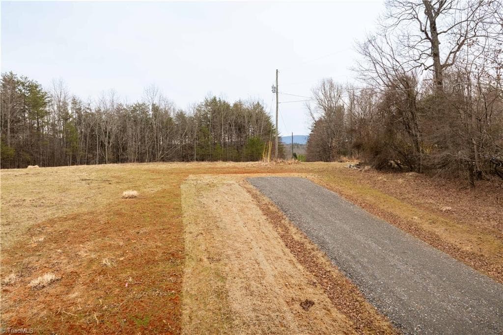 Unimproved Land at 0 Dearmin Road, Westfield NC 27053, photo 23 of 33