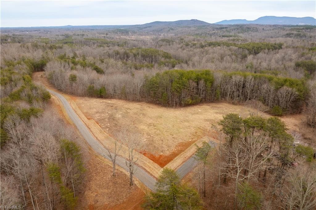 Unimproved Land at 0 Dearmin Road, Westfield NC 27053, photo 17 of 33
