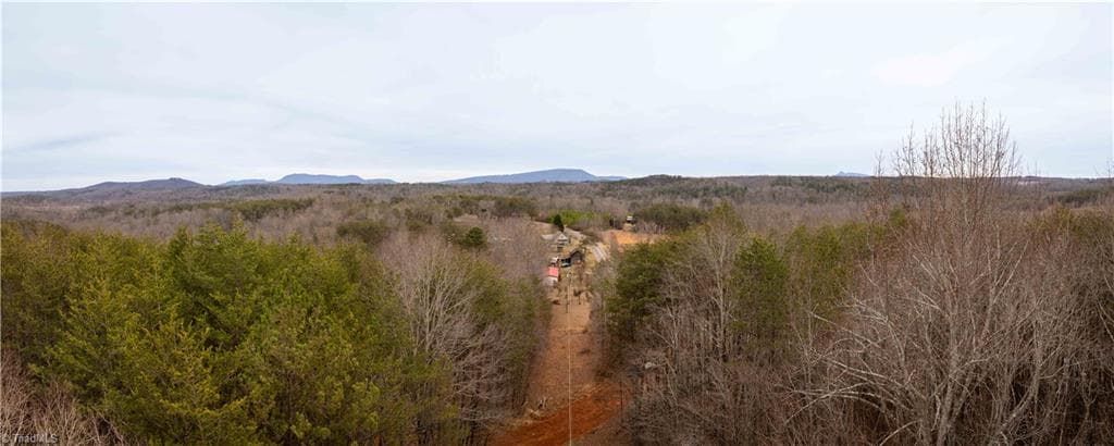 Unimproved Land at 0 Dearmin Road, Westfield NC 27053, photo 16 of 33