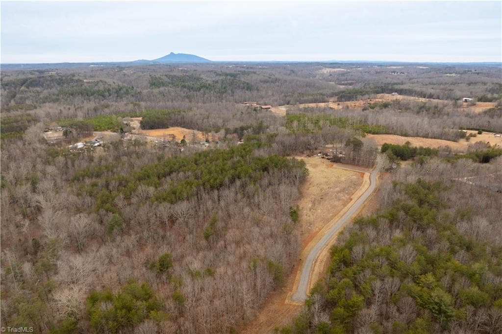 Unimproved Land at 0 Dearmin Road, Westfield NC 27053, photo 26 of 33