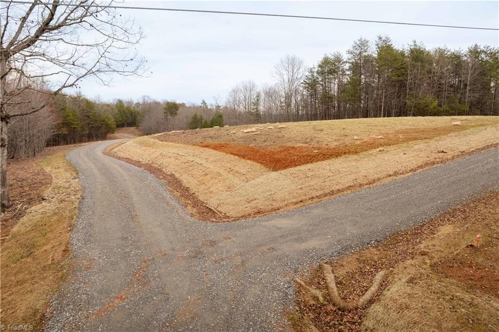 Unimproved Land at 0 Dearmin Road, Westfield NC 27053, photo 22 of 33