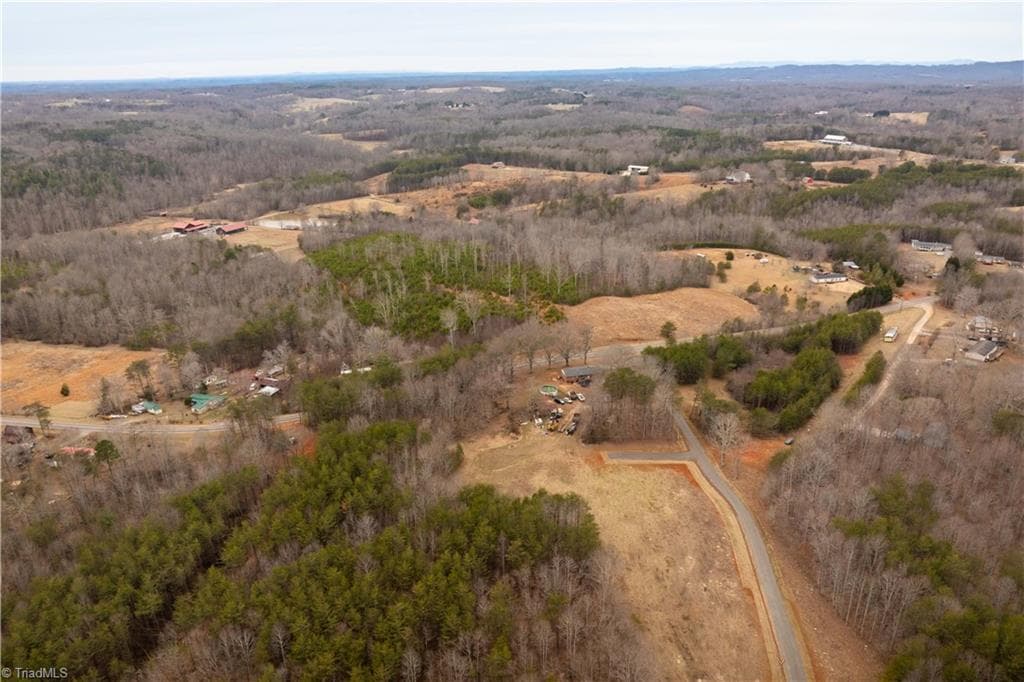 Unimproved Land at 0 Dearmin Road, Westfield NC 27053, photo 7 of 33