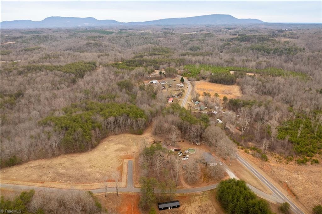 Unimproved Land at 0 Dearmin Road, Westfield NC 27053, photo 3 of 33