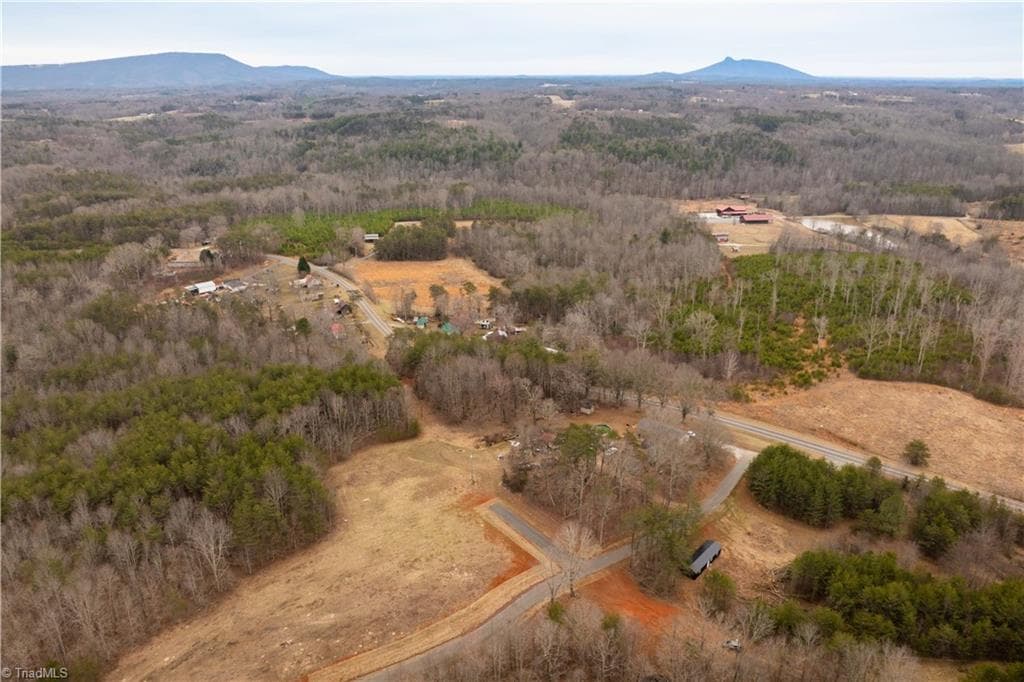 Unimproved Land at 0 Dearmin Road, Westfield NC 27053, photo 5 of 33