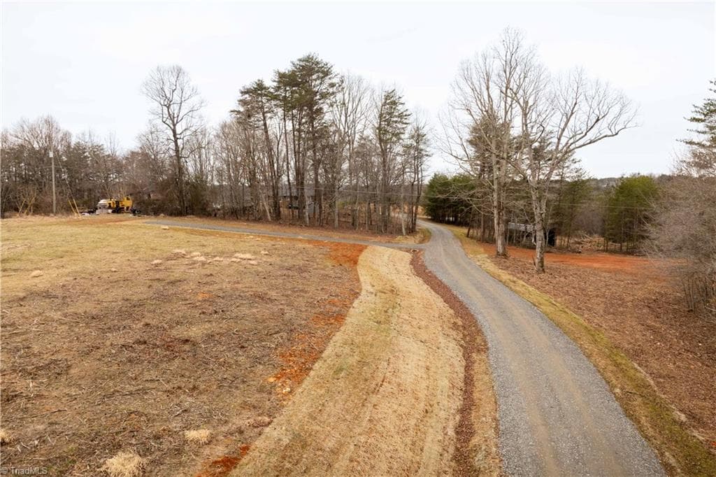 Unimproved Land at 0 Dearmin Road, Westfield NC 27053, photo 20 of 33