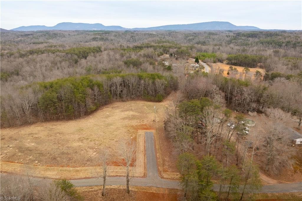 Unimproved Land at 0 Dearmin Road, Westfield NC 27053, photo 18 of 33