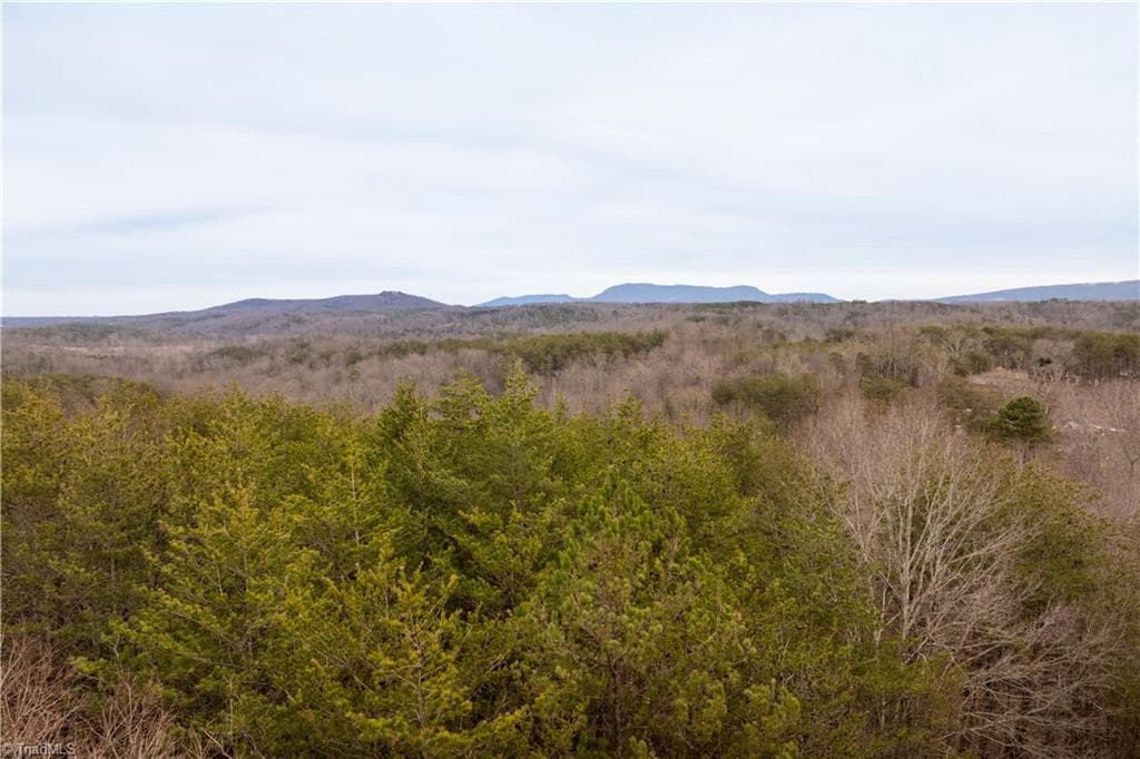 Unimproved Land at 0 Dearmin Road, Westfield NC 27053, photo 15 of 33