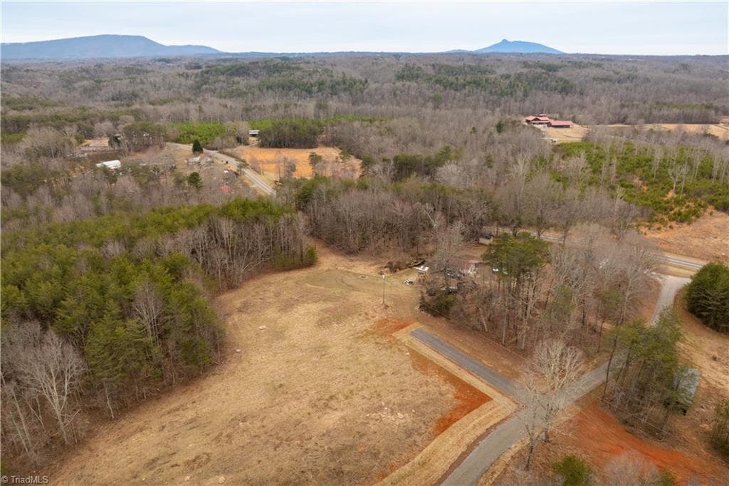 Unimproved Land at 0 Dearmin Road, Westfield NC 27053, photo 19 of 33