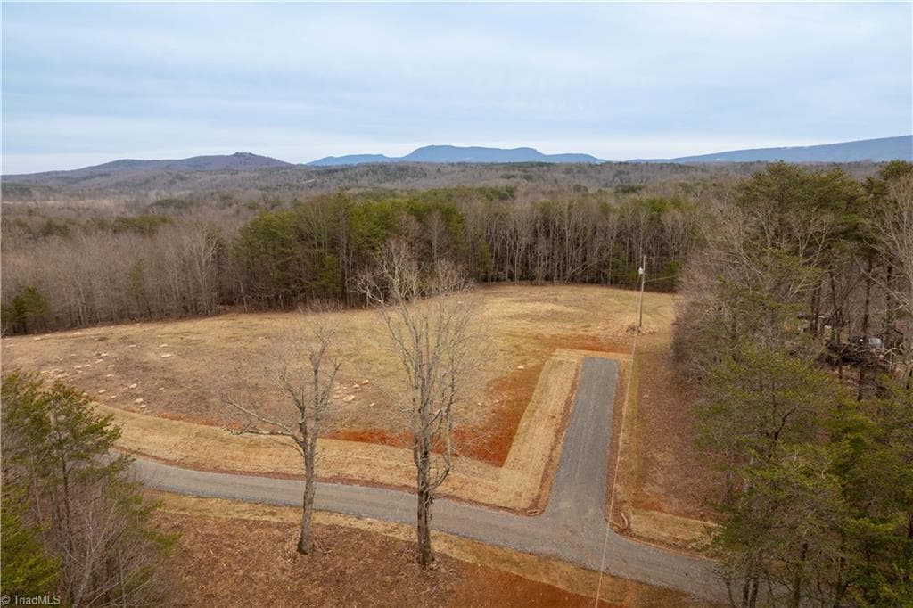 Unimproved Land at 0 Dearmin Road, Westfield NC 27053, photo 29 of 33