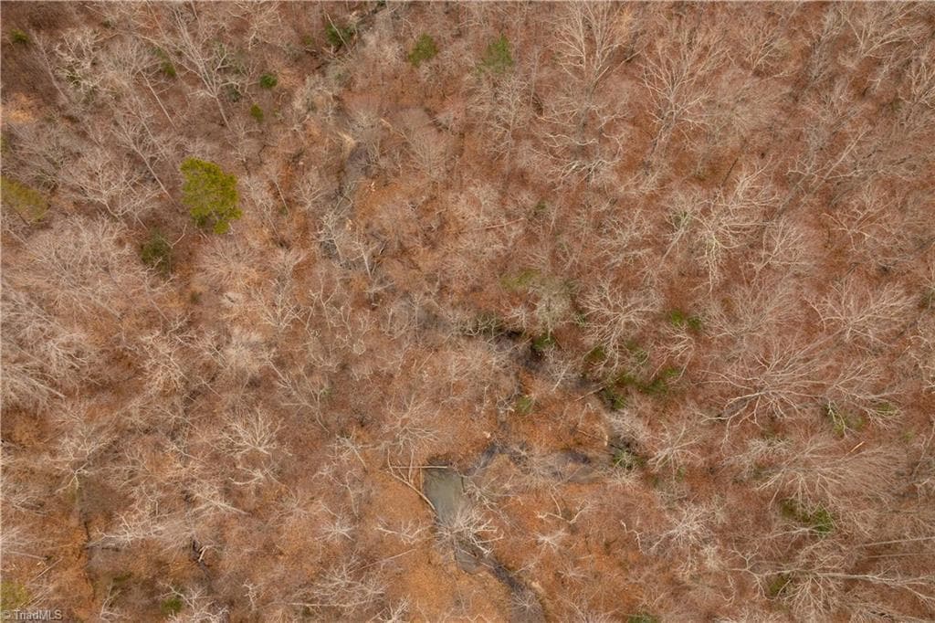 Unimproved Land at 0 Dearmin Road, Westfield NC 27053, photo 25 of 33