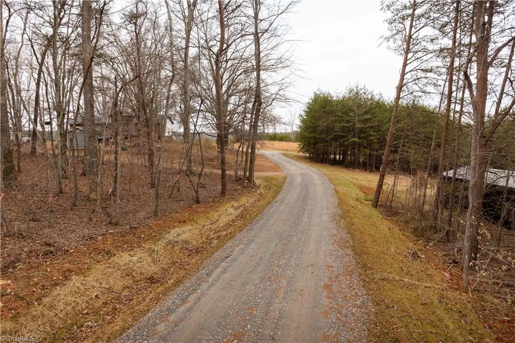 Unimproved Land at 0 Dearmin Road, Westfield NC 27053, photo 21 of 33