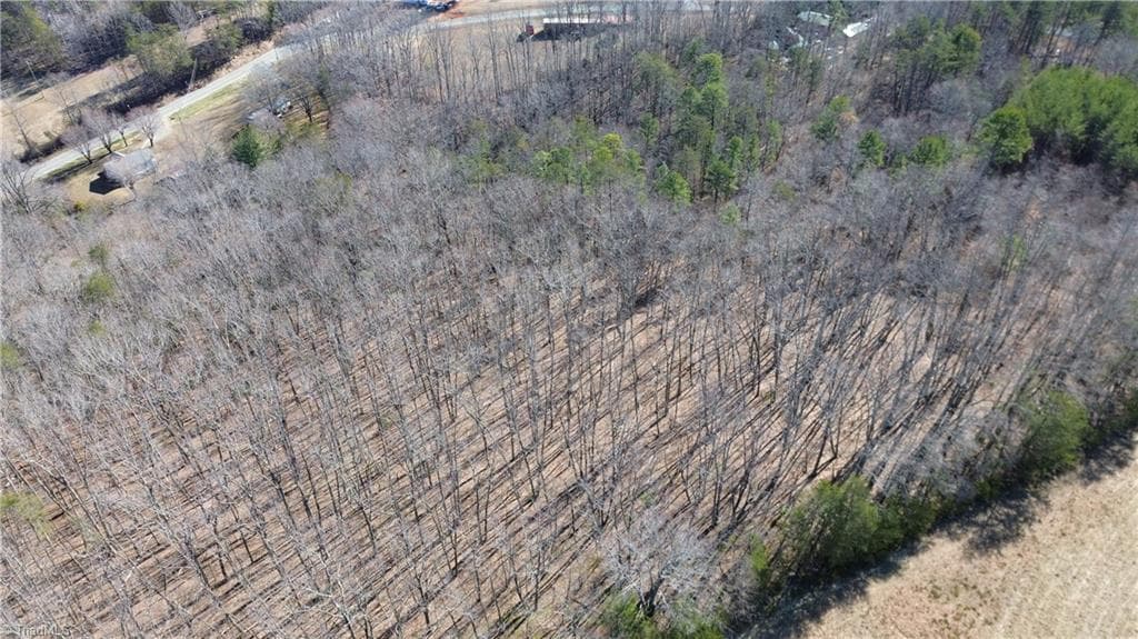 Remarks at Tract G Hanging Rock Forest Road # G, Danbury NC 27016, photo 6 of 23