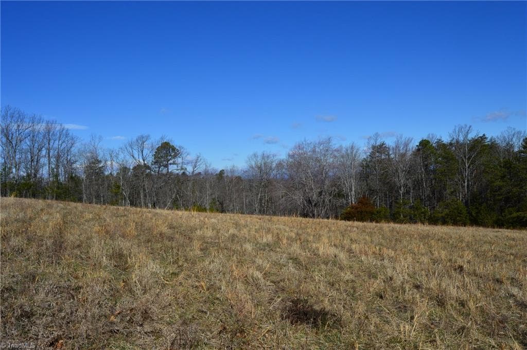 Remarks at Tract G Hanging Rock Forest Road # G, Danbury NC 27016, photo 13 of 23