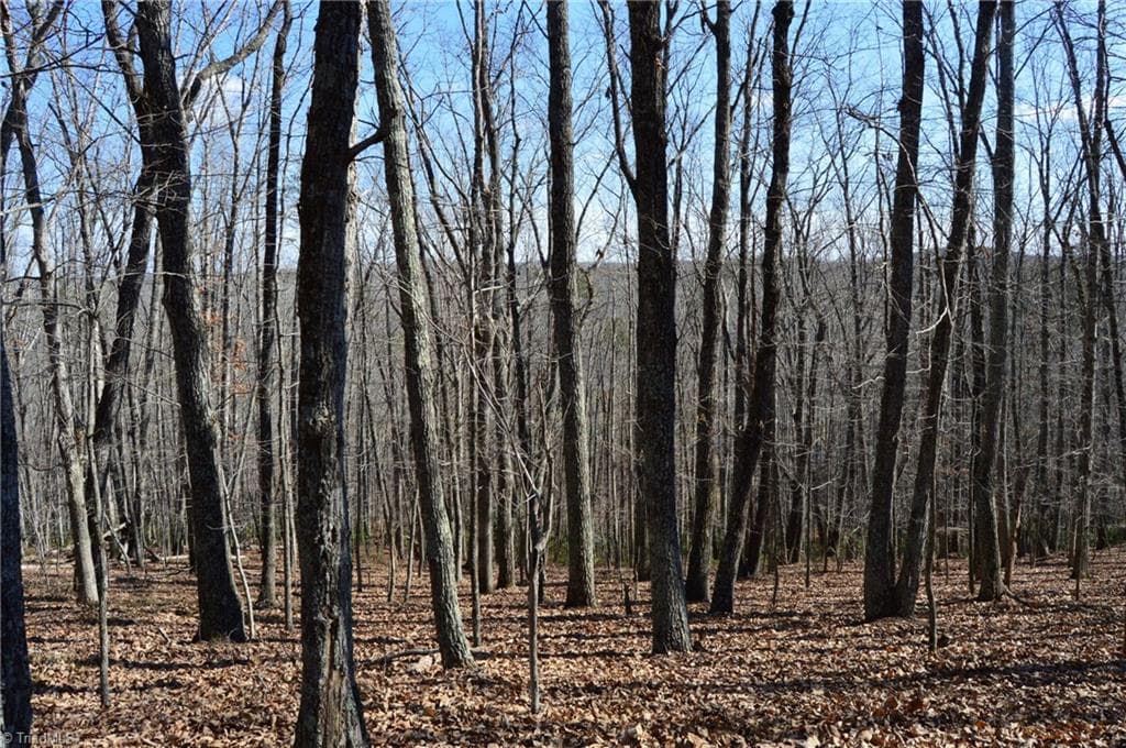 Remarks at Tract G Hanging Rock Forest Road # G, Danbury NC 27016, photo 17 of 23