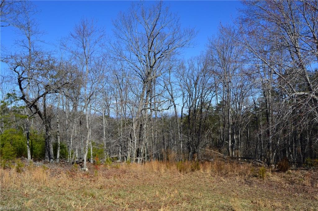 Remarks at Tract G Hanging Rock Forest Road # G, Danbury NC 27016, photo 16 of 23