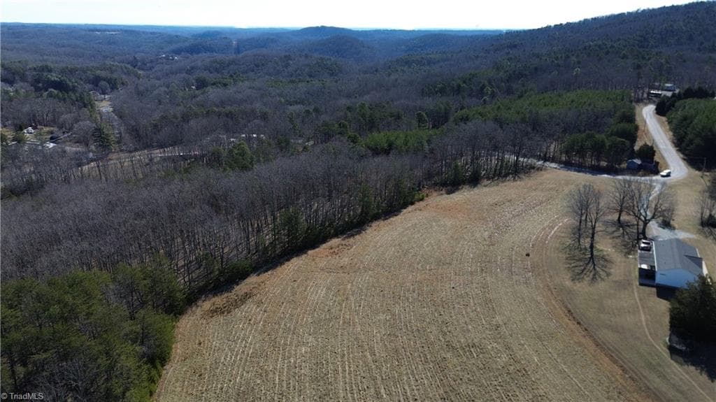 Remarks at Tract G Hanging Rock Forest Road # G, Danbury NC 27016, photo 7 of 23