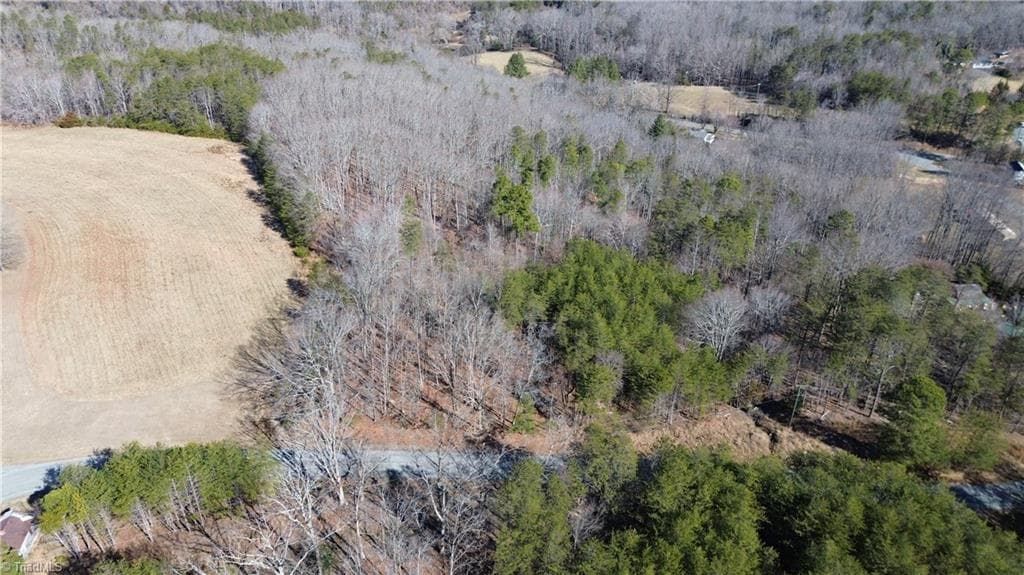 Remarks at Tract G Hanging Rock Forest Road # G, Danbury NC 27016, photo 3 of 23
