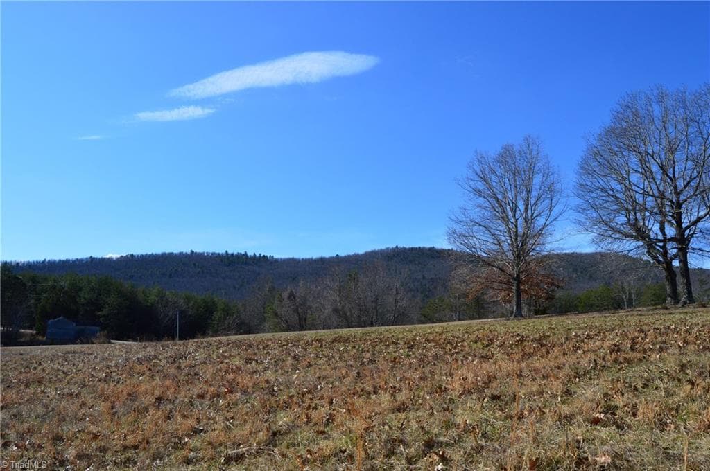 Tract G Hanging Rock Forest Road # G, Danbury NC 27016