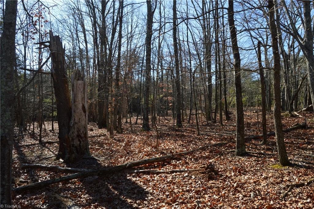 Remarks at Tract G Hanging Rock Forest Road # G, Danbury NC 27016, photo 20 of 23