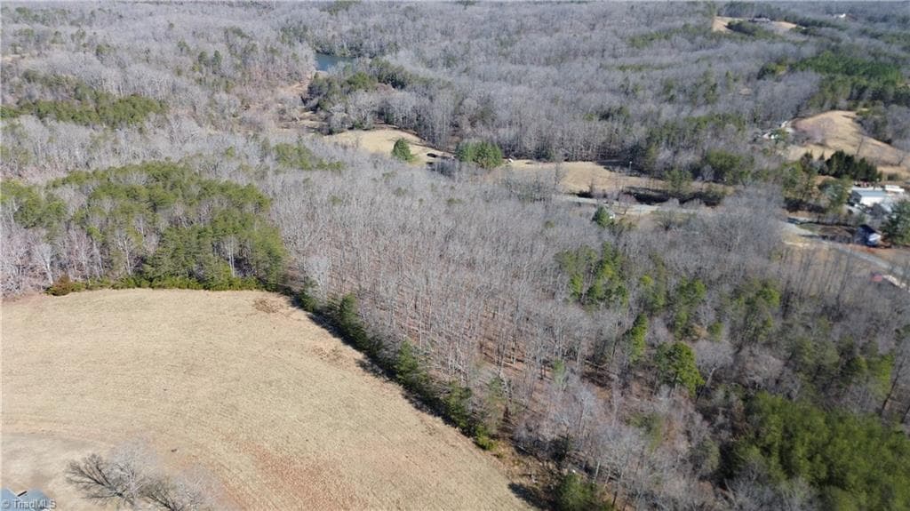 Remarks at Tract G Hanging Rock Forest Road # G, Danbury NC 27016, photo 10 of 23