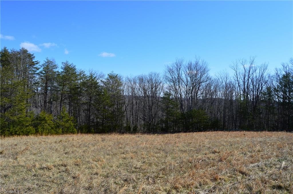 Remarks at Tract G Hanging Rock Forest Road # G, Danbury NC 27016, photo 14 of 23