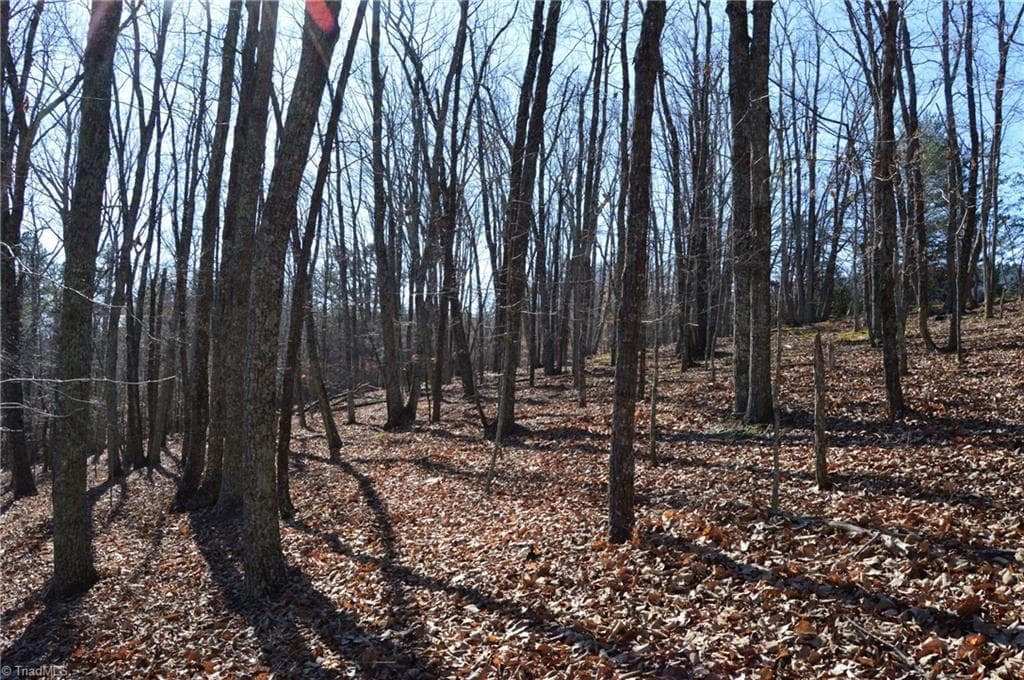 Remarks at Tract G Hanging Rock Forest Road # G, Danbury NC 27016, photo 18 of 23