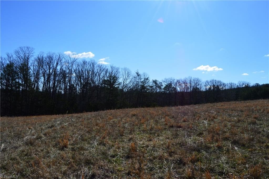 Remarks at Tract G Hanging Rock Forest Road # G, Danbury NC 27016, photo 15 of 23