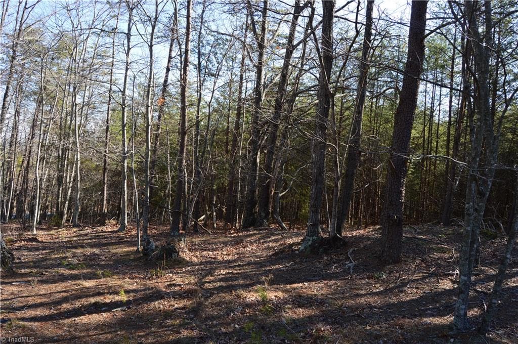 Remarks at Tract G Hanging Rock Forest Road # G, Danbury NC 27016, photo 11 of 23