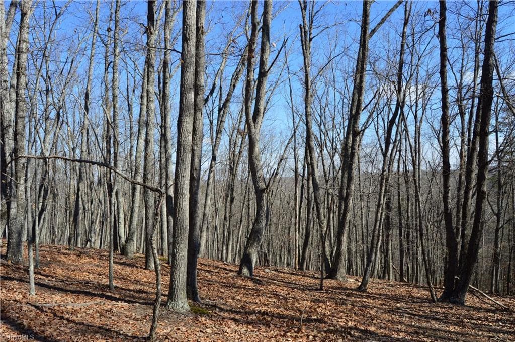 Remarks at Tract G Hanging Rock Forest Road # G, Danbury NC 27016, photo 19 of 23