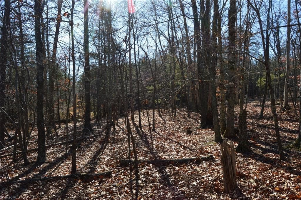 Remarks at Tract G Hanging Rock Forest Road # G, Danbury NC 27016, photo 21 of 23