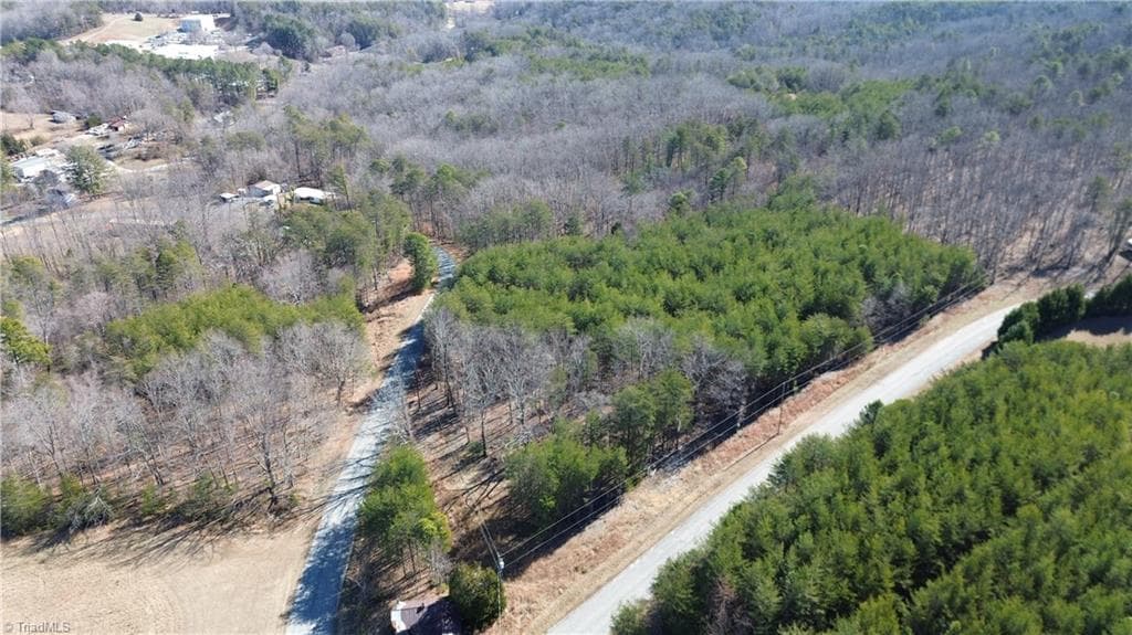 Tract H Hanging Rock Forest Road # H, Danbury NC 27016