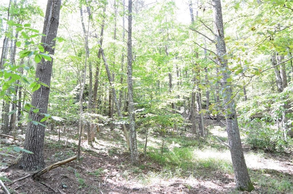 Single Family Residence at Tract C NC Highway 89 W # C, Danbury NC 27016, photo 17 of 35