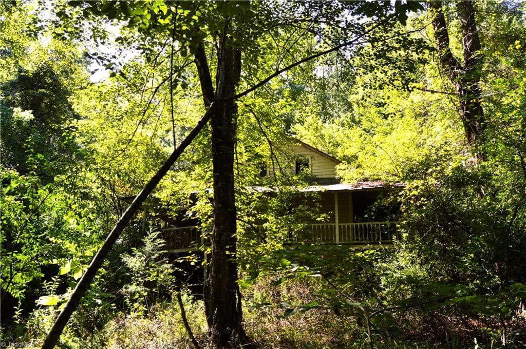 Single Family Residence at Tract C NC Highway 89 W # C, Danbury NC 27016, photo 12 of 35