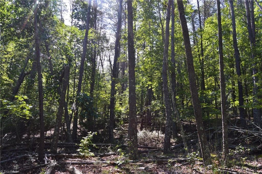 Single Family Residence at Tract C NC Highway 89 W # C, Danbury NC 27016, photo 22 of 35