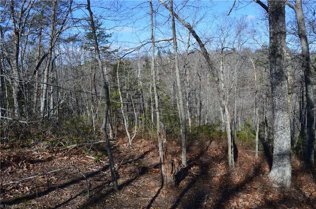 Single Family Residence at Tract C NC Highway 89 W # C, Danbury NC 27016, photo 3 of 35