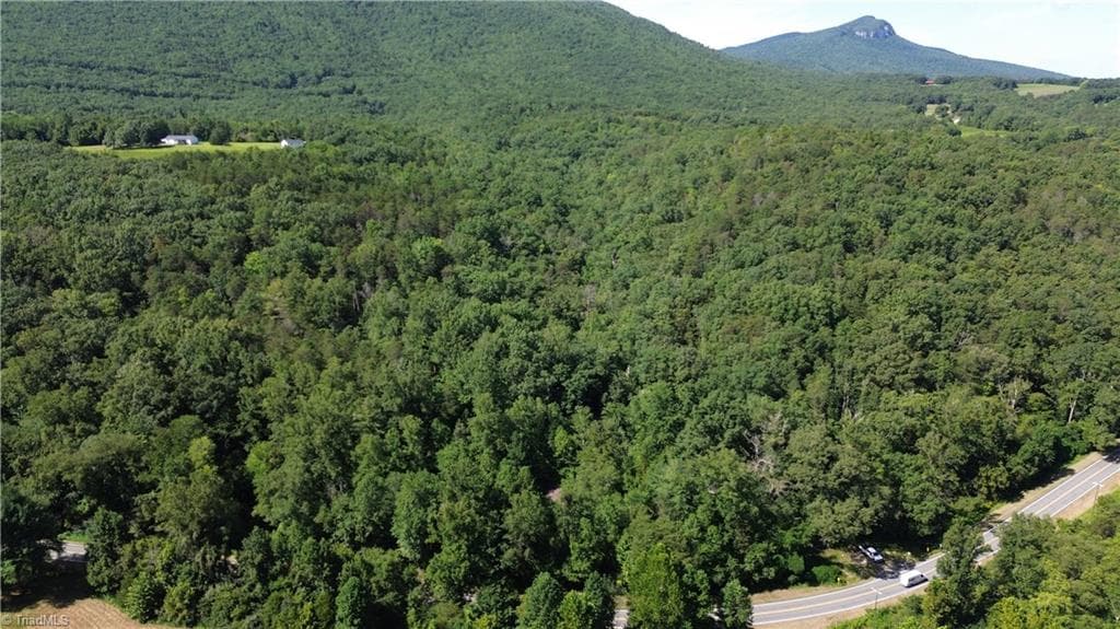 Tract C NC Highway 89 W # C, Danbury NC 27016