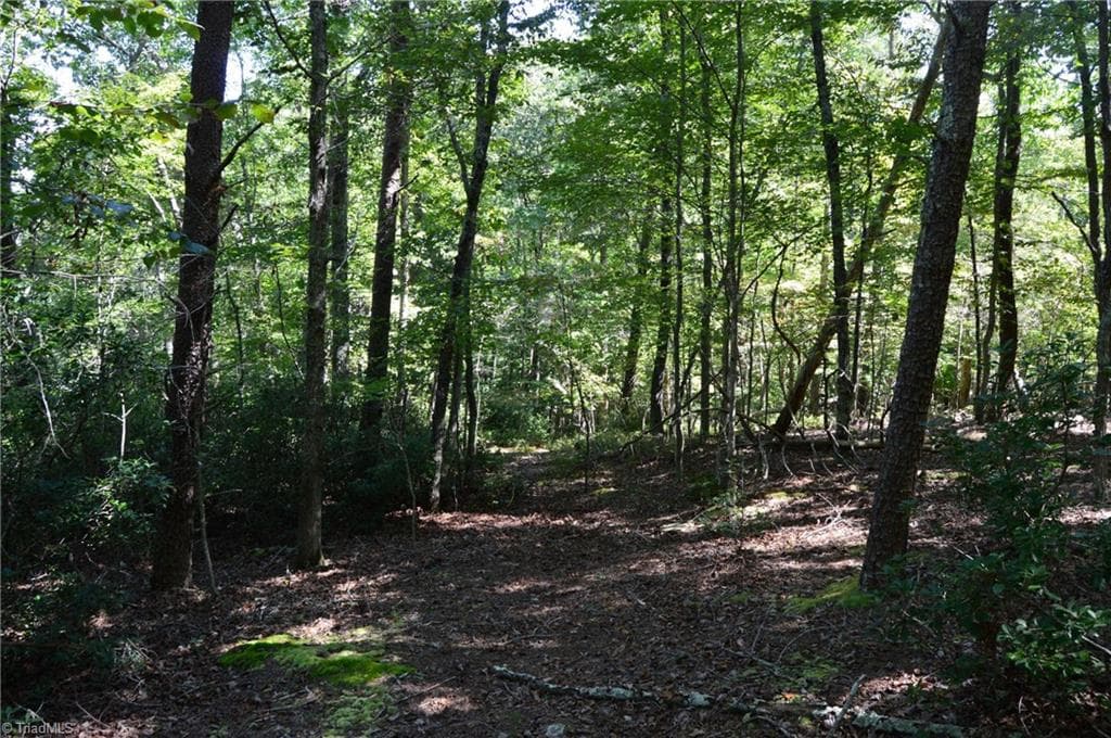 Single Family Residence at Tract C NC Highway 89 W # C, Danbury NC 27016, photo 20 of 35