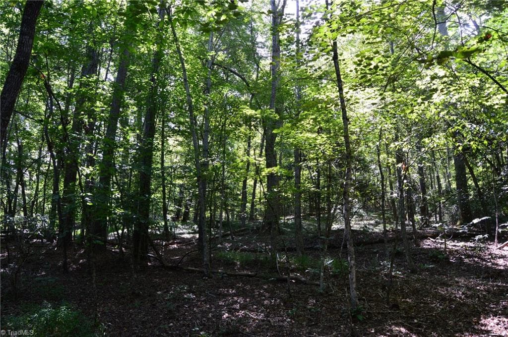 Single Family Residence at Tract C NC Highway 89 W # C, Danbury NC 27016, photo 14 of 35