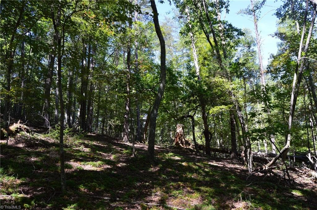 Single Family Residence at Tract C NC Highway 89 W # C, Danbury NC 27016, photo 18 of 35