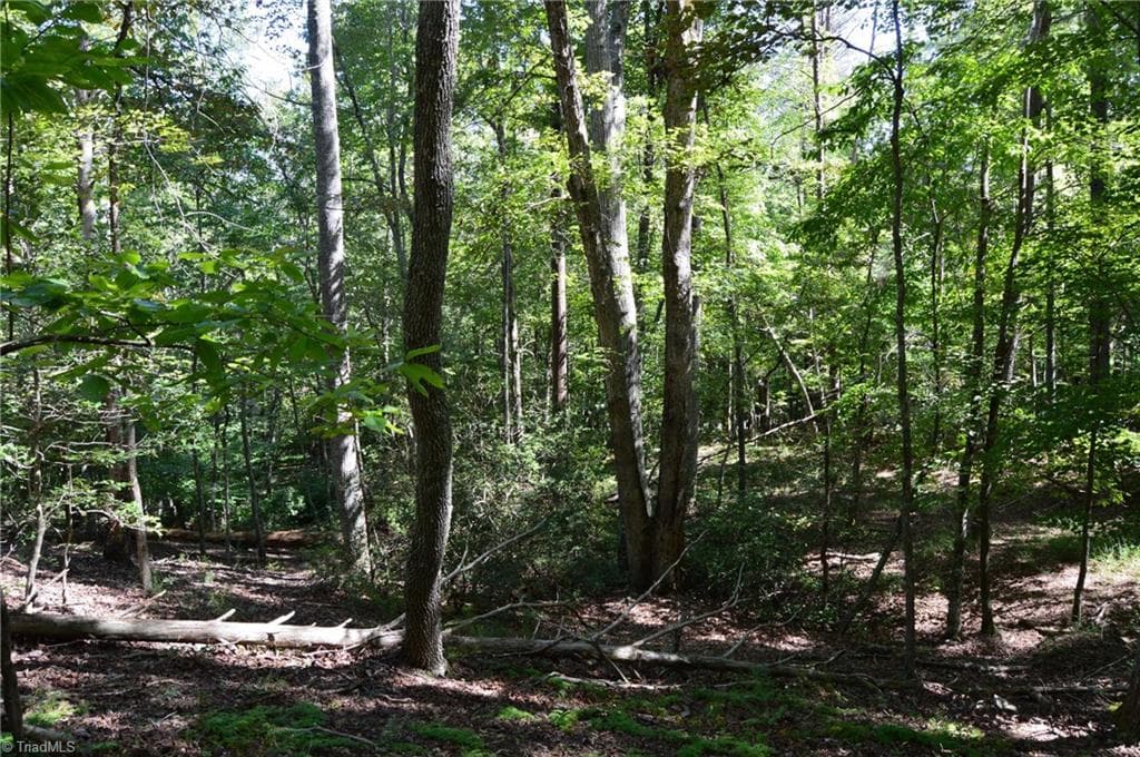 Single Family Residence at Tract C NC Highway 89 W # C, Danbury NC 27016, photo 19 of 35