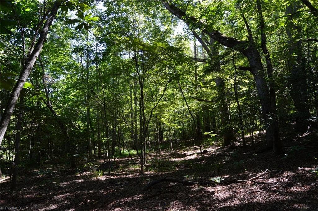 Single Family Residence at Tract C NC Highway 89 W # C, Danbury NC 27016, photo 29 of 35