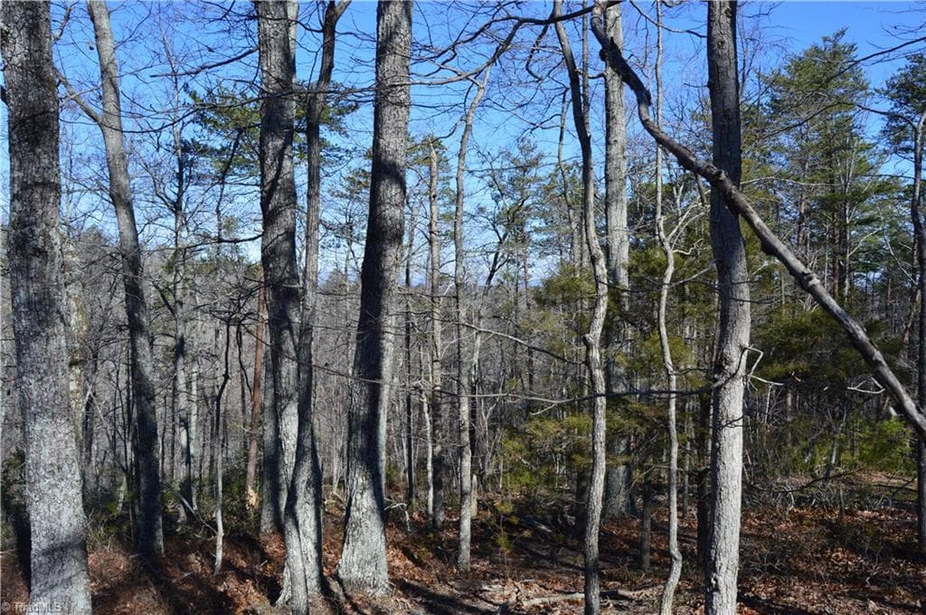 Single Family Residence at Tract C NC Highway 89 W # C, Danbury NC 27016, photo 4 of 35