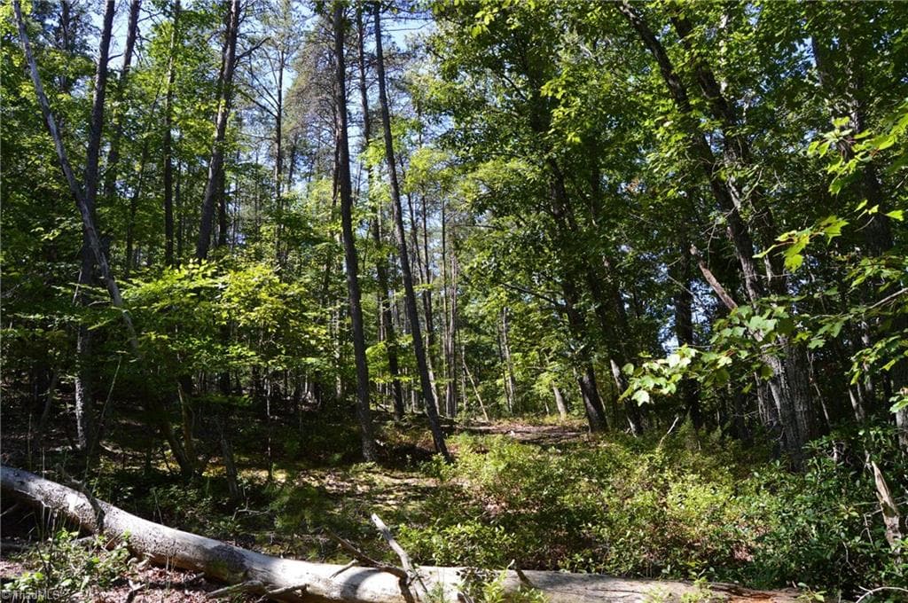 Single Family Residence at Tract C NC Highway 89 W # C, Danbury NC 27016, photo 21 of 35