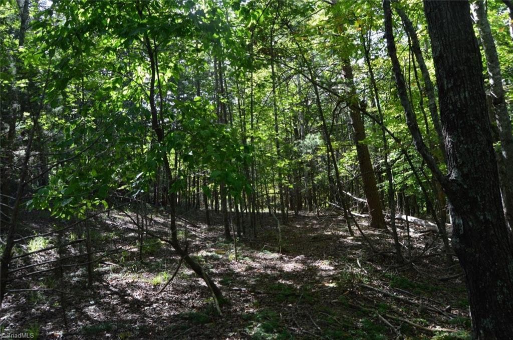 Remarks at Tract D Hanging Rock Forest Road # D, Danbury NC 27016, photo 6 of 24