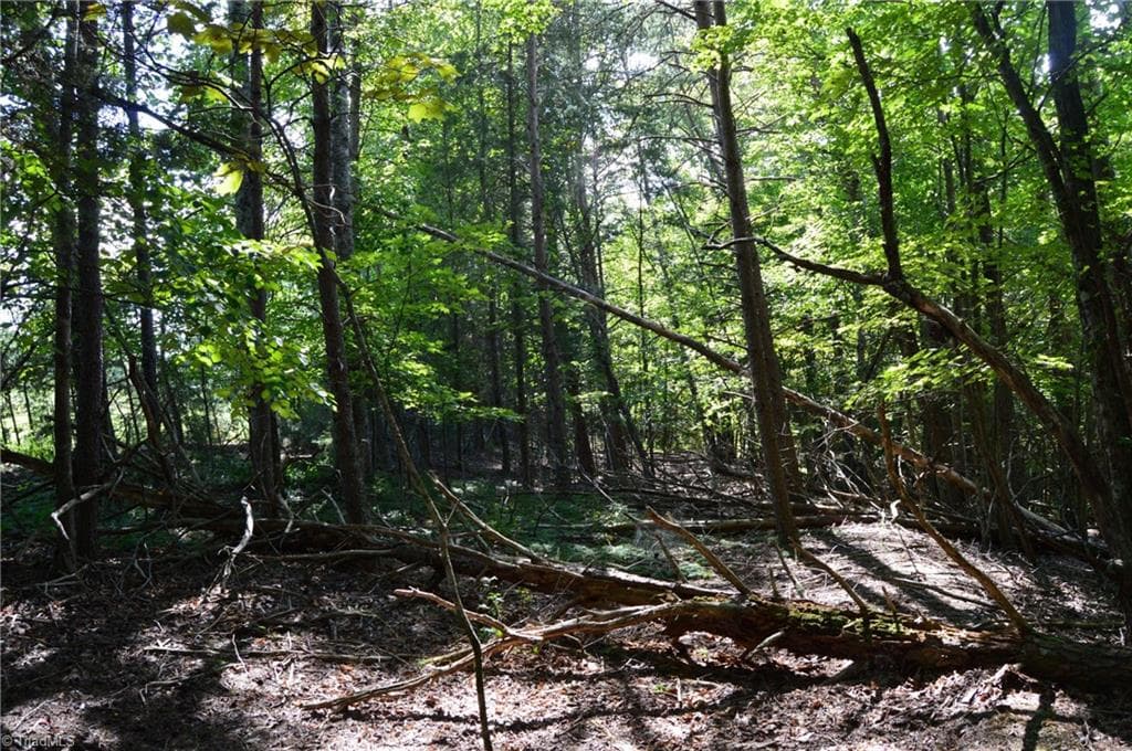 Remarks at Tract D Hanging Rock Forest Road # D, Danbury NC 27016, photo 13 of 24