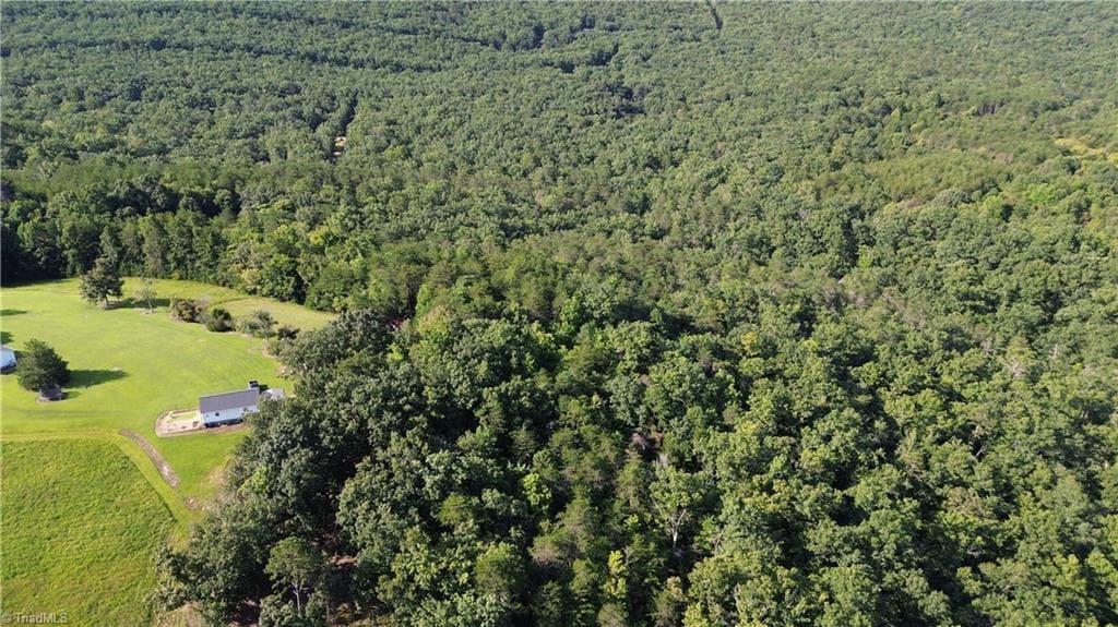 Remarks at Tract D Hanging Rock Forest Road # D, Danbury NC 27016, photo 17 of 24