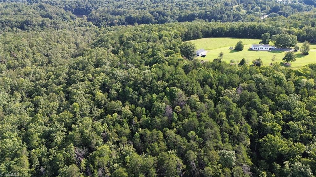 Remarks at Tract D Hanging Rock Forest Road # D, Danbury NC 27016, photo 16 of 24