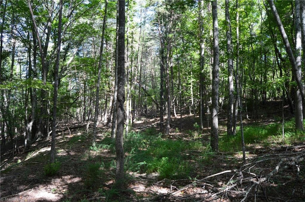 Remarks at Tract D Hanging Rock Forest Road # D, Danbury NC 27016, photo 7 of 24